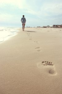 beach-731137_1920
